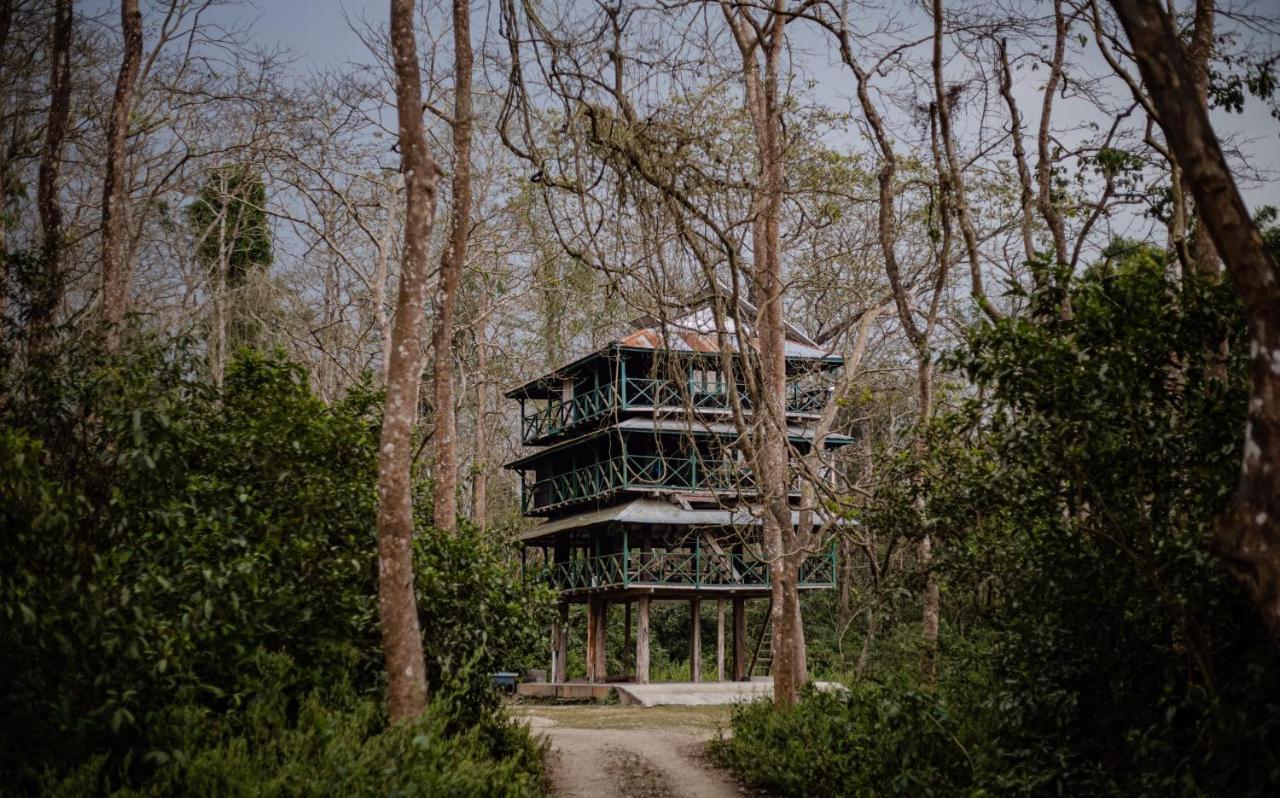 Hotel Tharu Garden, Саураха Экстерьер фото